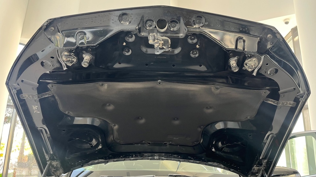 CAR HOOD