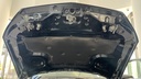 CAR HOOD