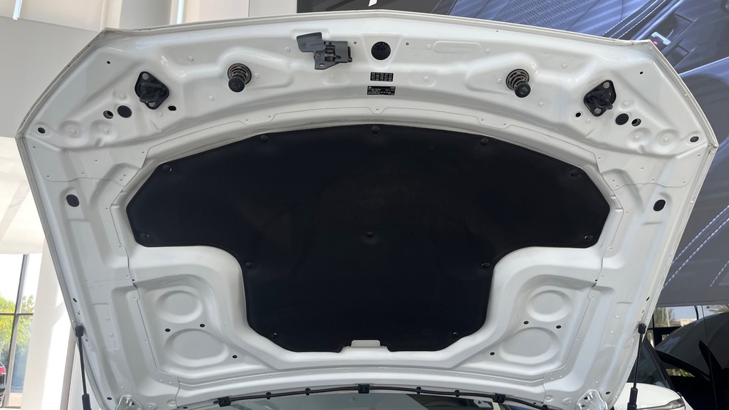 CAR HOOD
