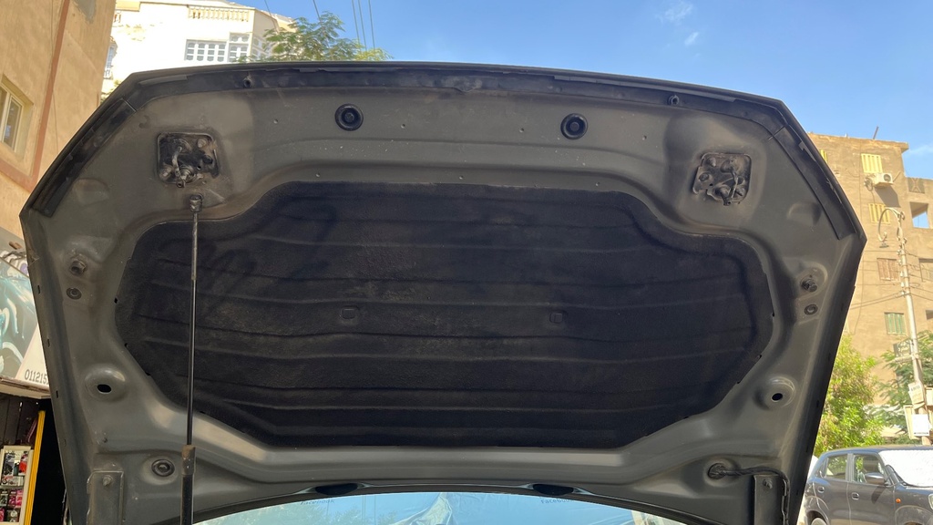 CAR HOOD