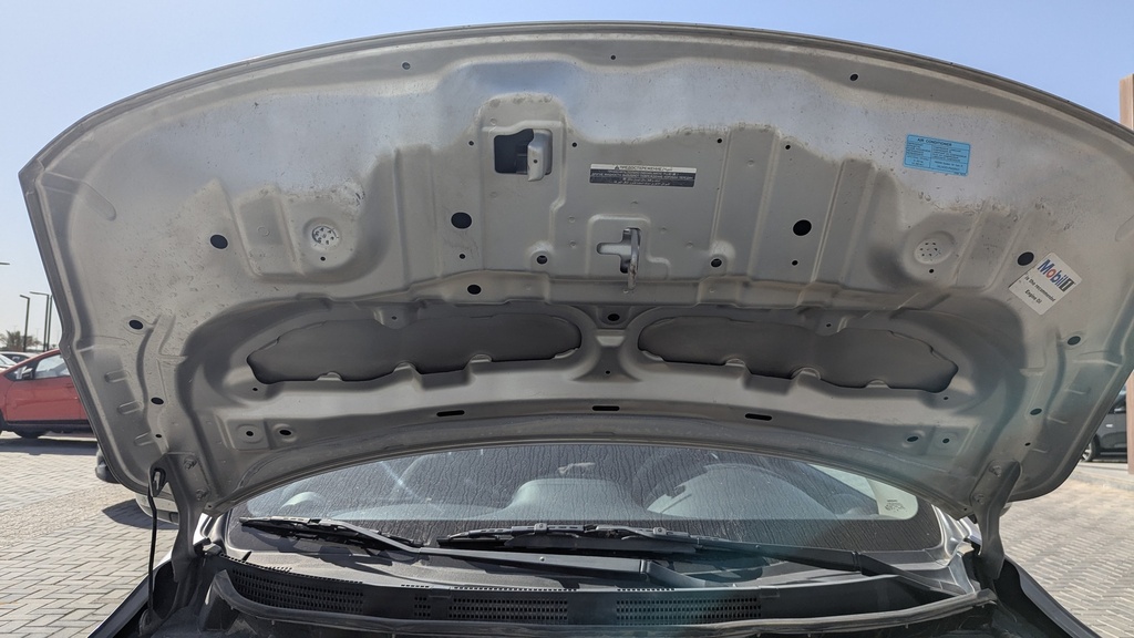 CAR HOOD