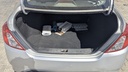 TRUNK