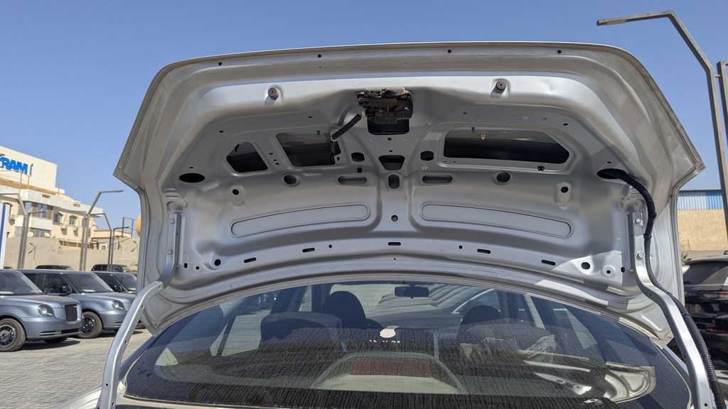 TRUNK HOOD