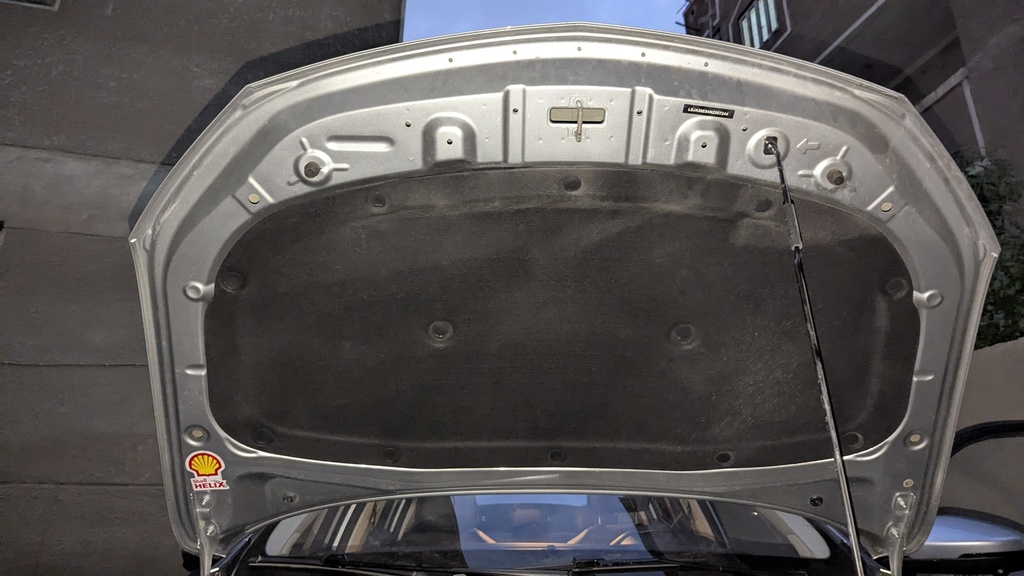 CAR HOOD