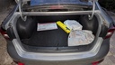TRUNK