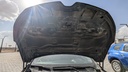 CAR HOOD