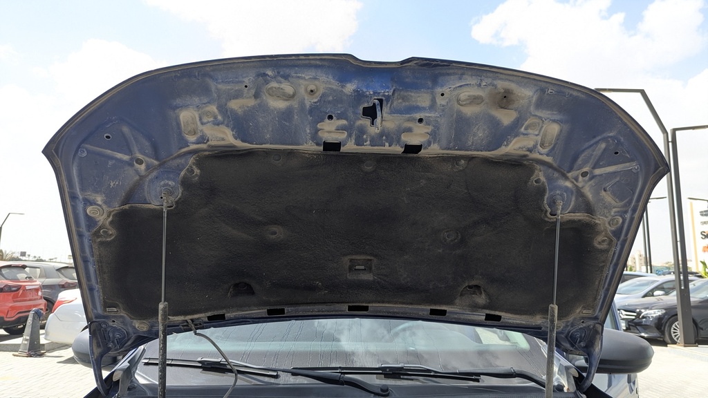 CAR HOOD