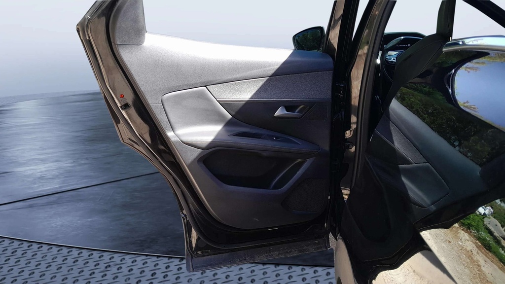 RR L DOOR