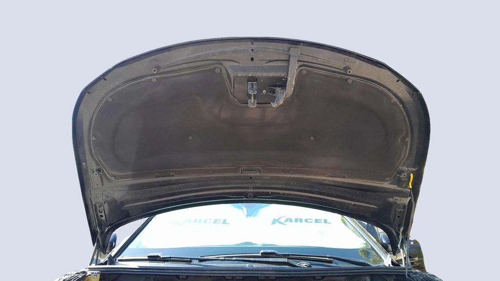 CAR HOOD