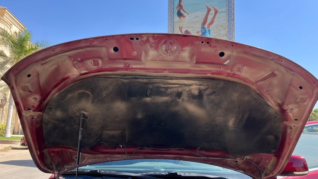 CAR HOOD