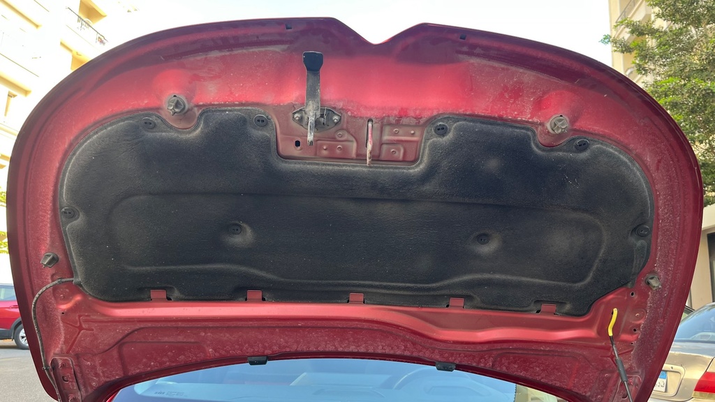 CAR HOOD