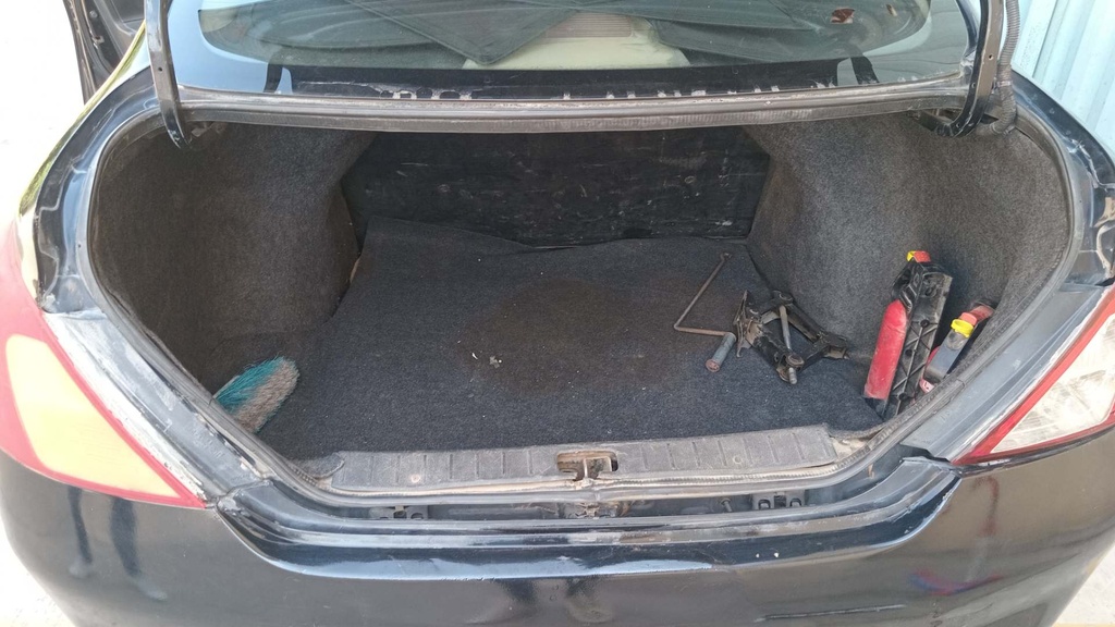 TRUNK