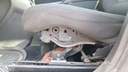 DRIVER SEAT SWITCHES