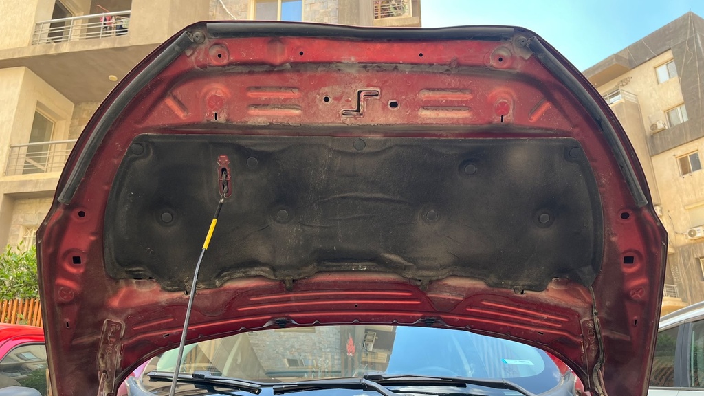 CAR HOOD