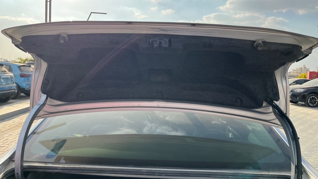 TRUNK HOOD
