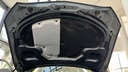CAR HOOD