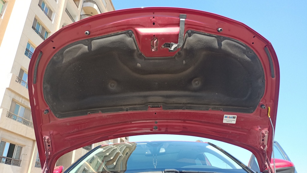 CAR HOOD