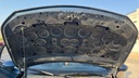 CAR HOOD