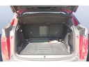 TRUNK
