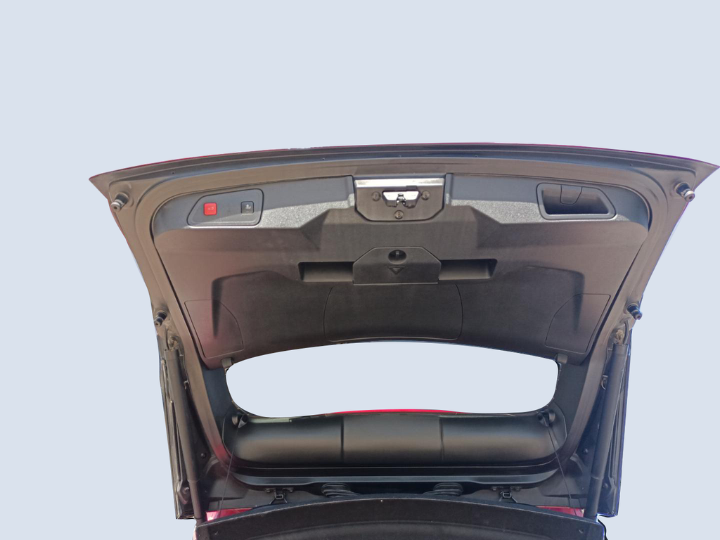 TRUNK HOOD