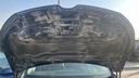CAR HOOD