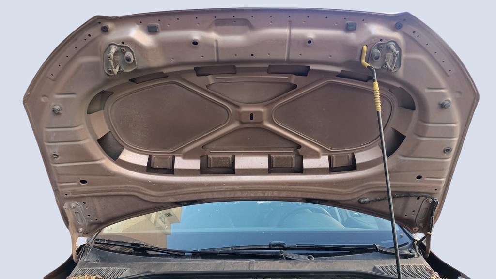CAR HOOD