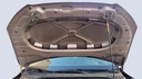 CAR HOOD