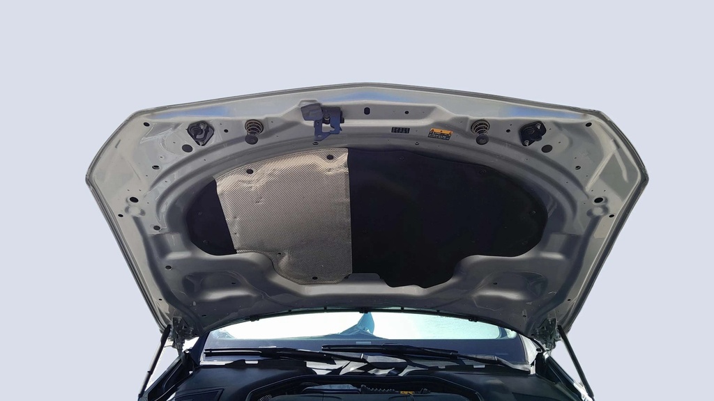 CAR HOOD