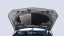 CAR HOOD