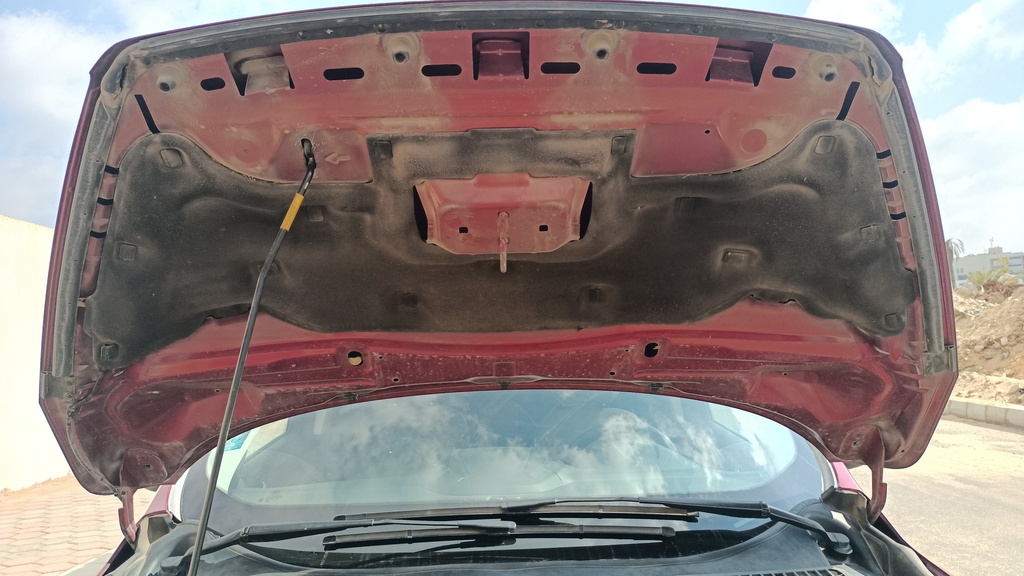 CAR HOOD