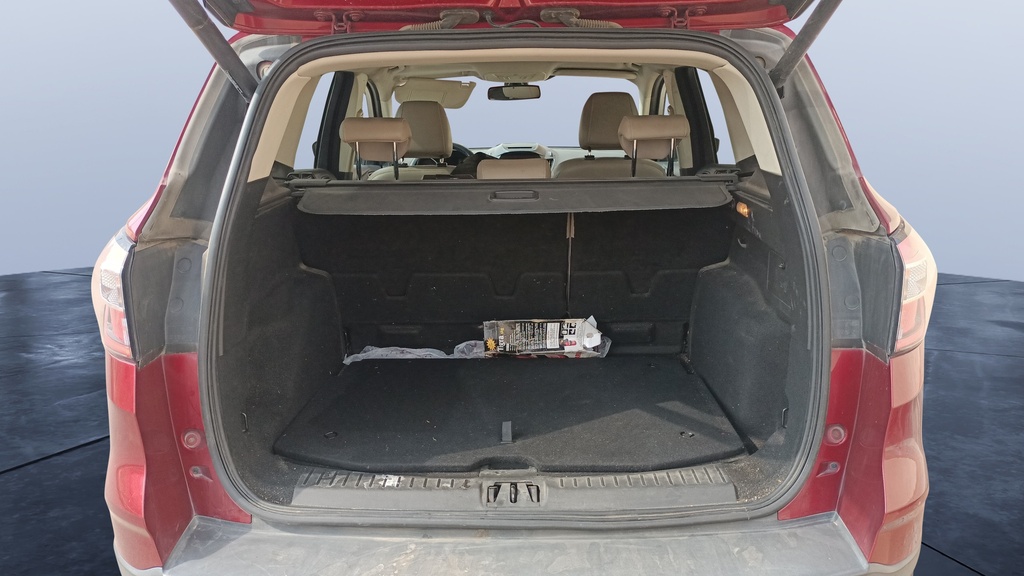 TRUNK