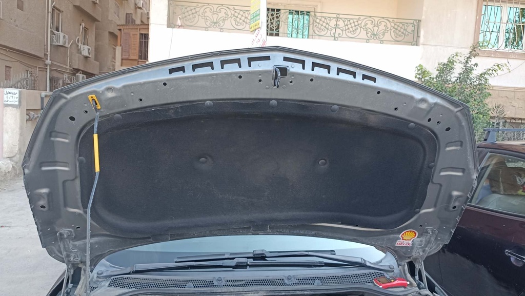 CAR HOOD