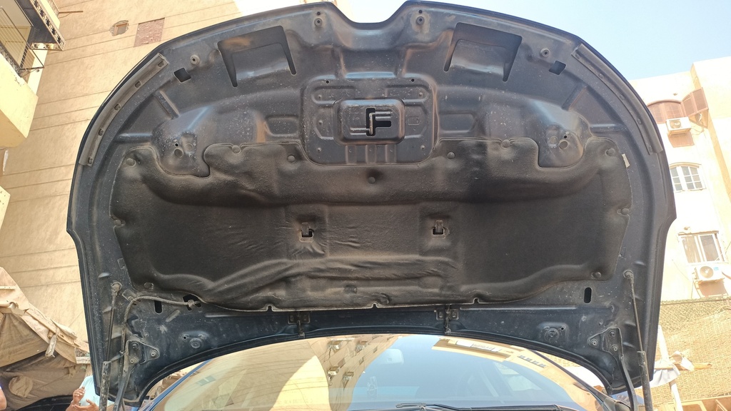 CAR HOOD