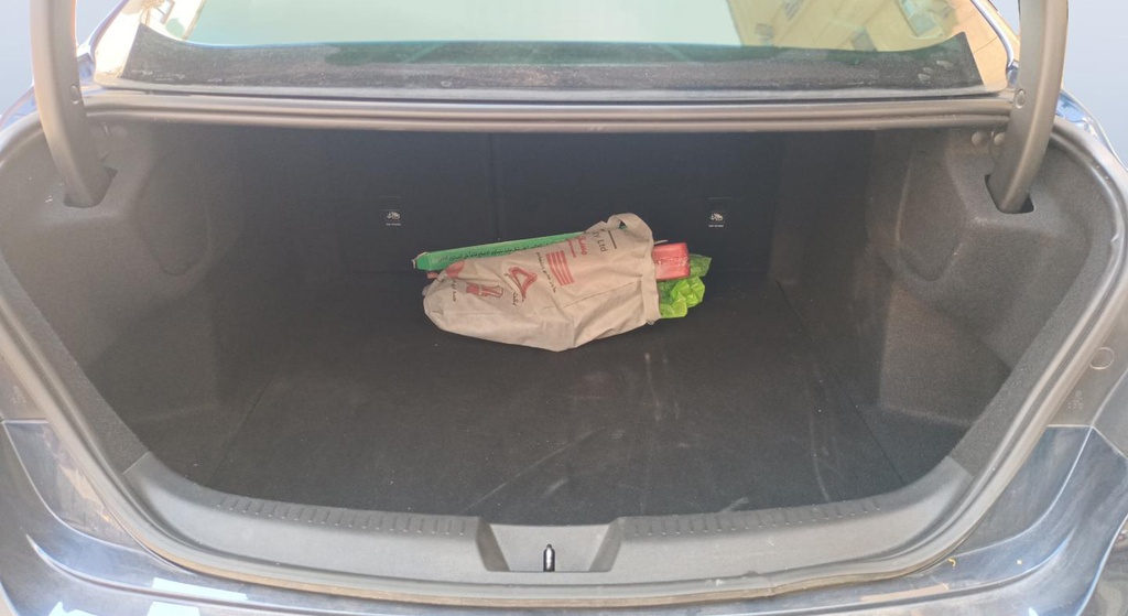 TRUNK