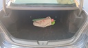 TRUNK
