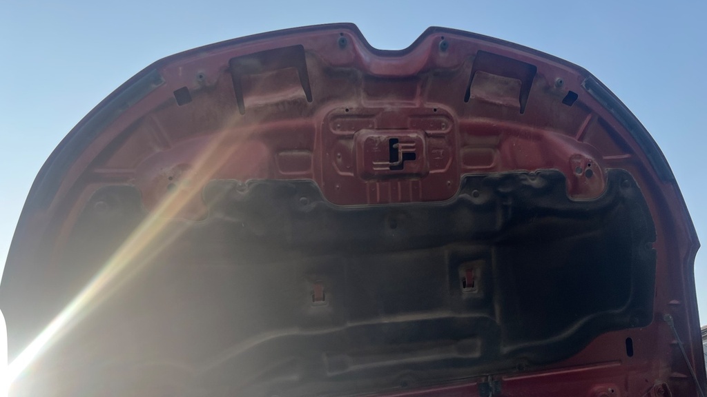 CAR HOOD