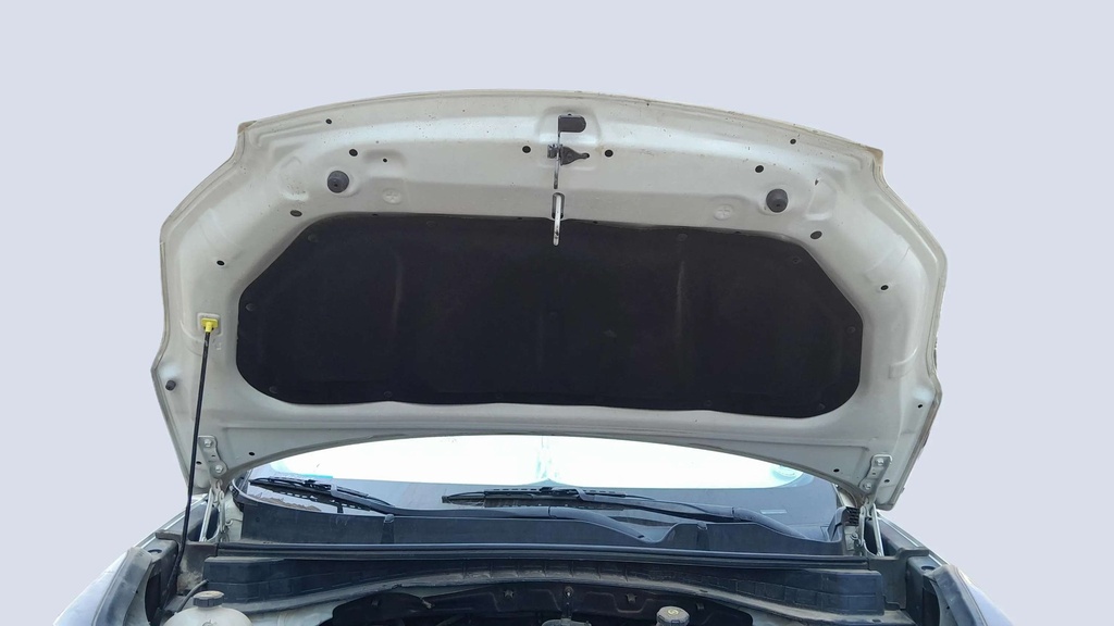 CAR HOOD