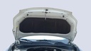CAR HOOD