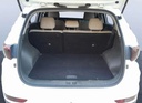 TRUNK