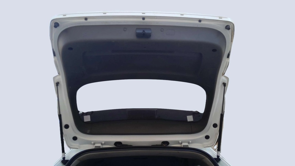 TRUNK HOOD