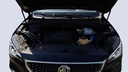 ENGINE COMPARTMENT