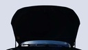 CAR HOOD