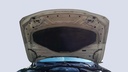 CAR HOOD