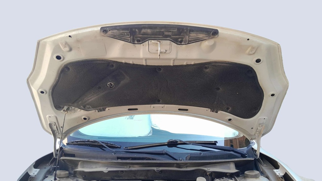 CAR HOOD