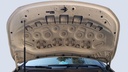 CAR HOOD