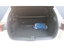TRUNK