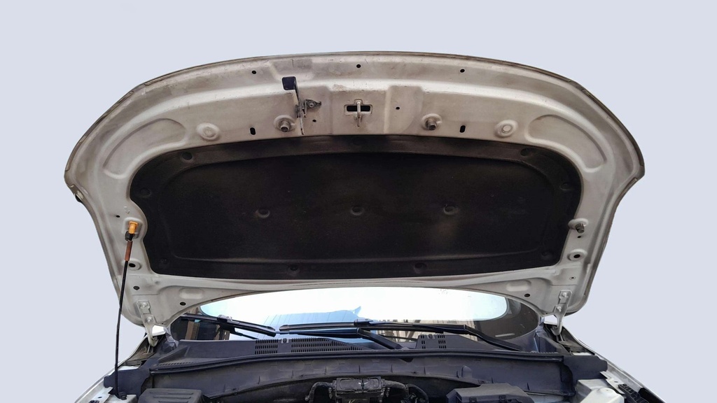 CAR HOOD