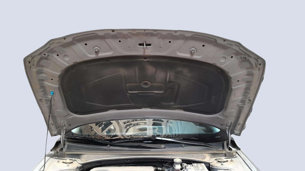 CAR HOOD