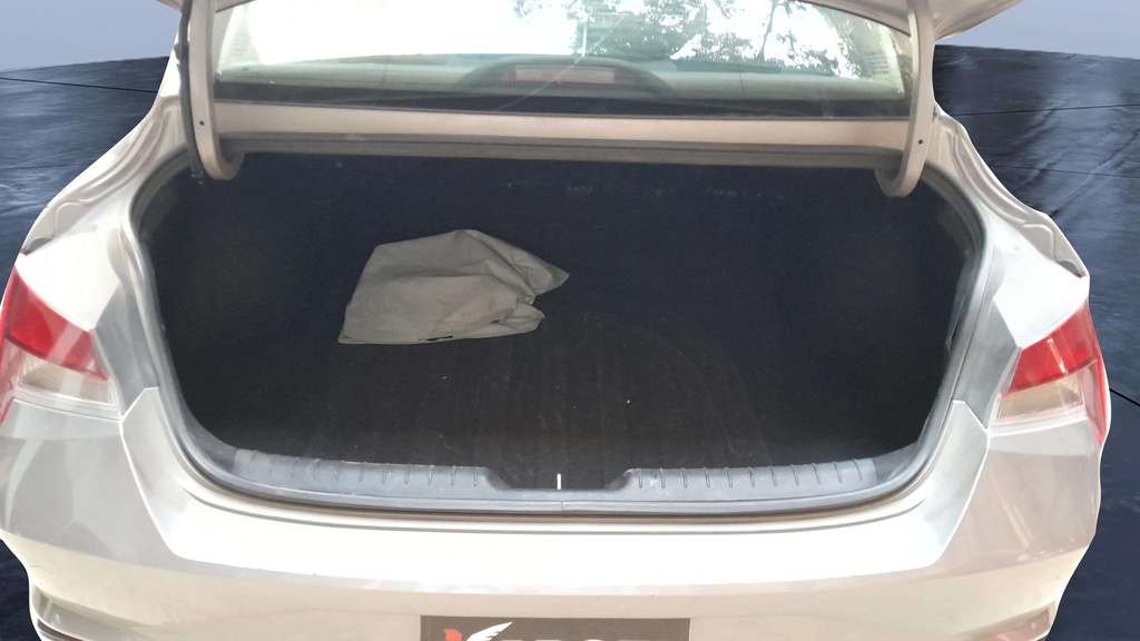 TRUNK