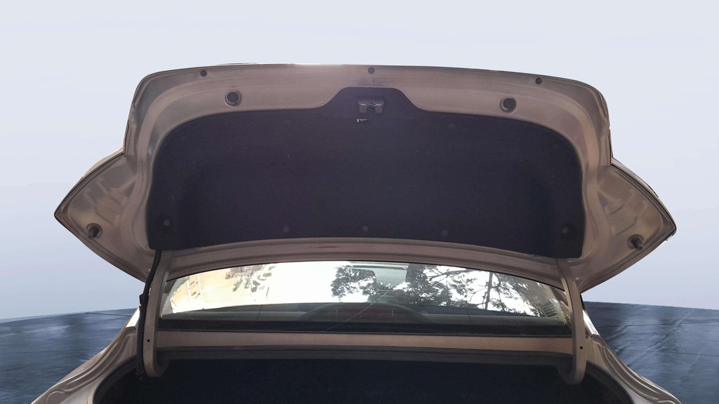 TRUNK HOOD